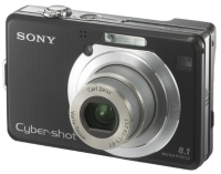 SONY DSC-W100